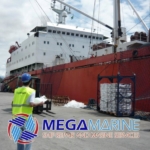 Перевозка зерна через Черноморский порт