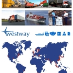 Доставка контейнерных грузов из Китая, Японии, Америки и Европы.