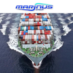 Морские контейнерные перевозки, внешнеторговые операции, таможенное оформление и консалтинг