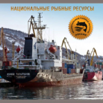 Оказание агентских услуг в морском порту Петропавловск-Камчатский, агентирование морских судов
