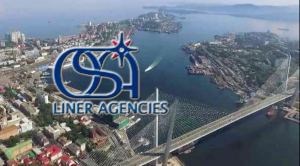 ООО «ВМК Лайнерс» предоставляет услуги в сфере в сфере морских контейнерных перевозок