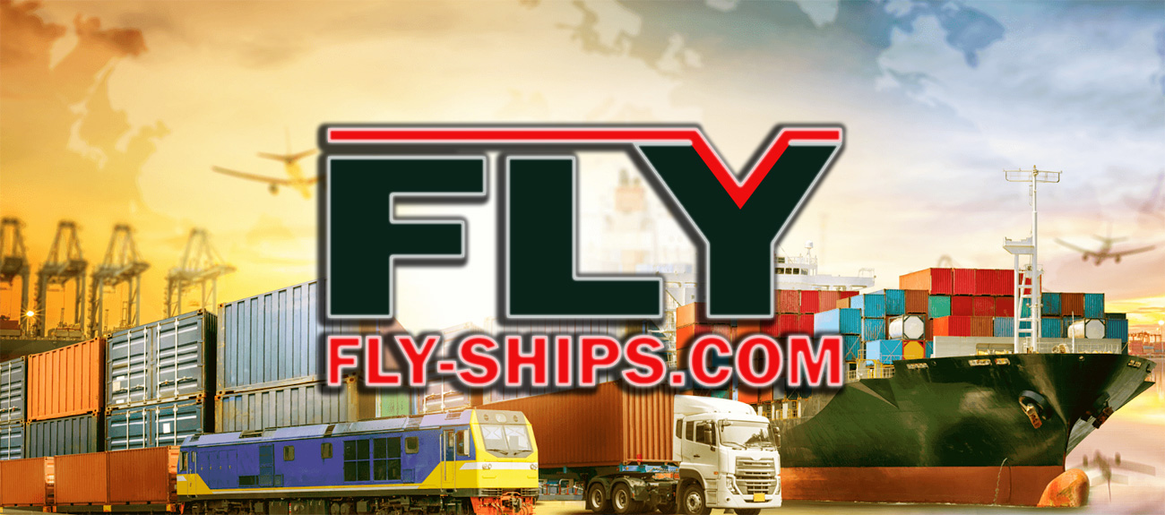 Fly Ships Logistics осуществляет морские грузоперевозки контейнеров, спецтехники и генеральных грузов
