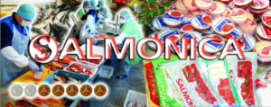 Добыча, переработка, транспортировка и реализация рыбы и морепродуктов, ГК Salmonica