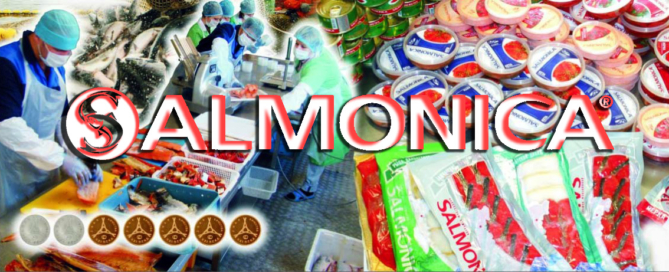 Добыча, переработка, транспортировка и реализация рыбы и морепродуктов, ГК Salmonica