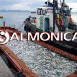 Группа компаний «Salmonica» представляет собой активно и динамично развивающийся производственный холдинг, занимающий прочное положение в числе лидеров рыбопромышленной отрасли Дальнего Востока.