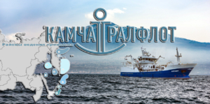 Сегодня с конвейеров ООО «Камчаттралфлот» сходит 250 тонн мороженой продукции из белой рыбы, 100 тысяч банок консервов, 27 тонн рыбной муки и 6 тонн рыбьего жира в сутки