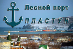 Порт Пластун специализируется на поставках круглого леса