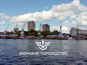 «Амурскому пароходству» принадлежат морские и речные суда (220 единиц) общим дедвейтом 211,1 тыс. тонн, включая суда смешанного типа класса «река-море», сухогрузные суда, танкеры и большегрузные составы