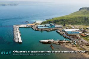 ООО «СКАТ» осуществляет содействие в предоставлении судну причала, плавательных средств, а также лоцманской проводки