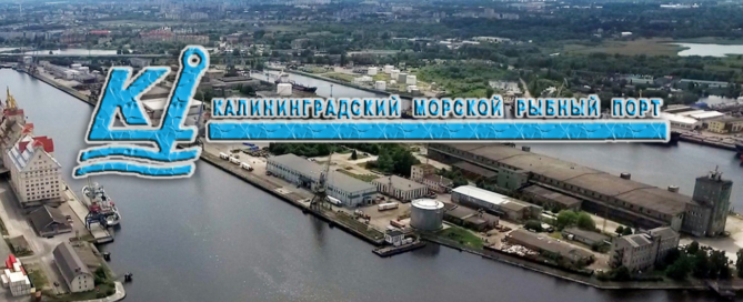 «Калининградский морской рыбный порт» осуществляет перевалку грузов, технологическое накопление и хранение генеральных, навалочных грузов и наливных грузов