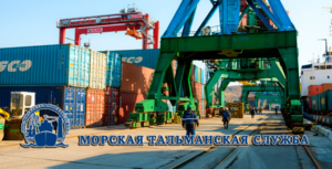 МорТС проводит приемку и отправку контейнеров, осмотр целостности оборудования, погрузо‐разгрузочные работы, загрузку порожних контейнеров, хранение груженых и порожних контейнеров