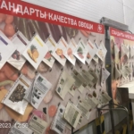 Международные сюрвейерские услуги